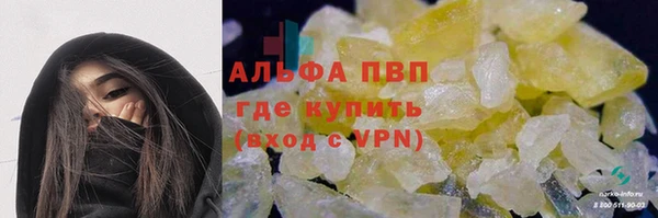 стаф Медногорск