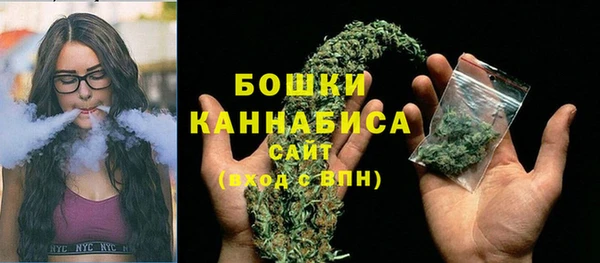 стаф Медногорск